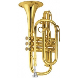 Корнет Amati AСR 211I-0, фото 